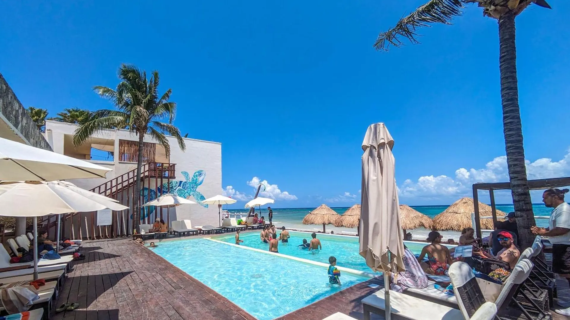 A8 Beachside Bliss Family Hawaiian Themed Quad Kitchen Studio Ac Playa del Carmen Mexico