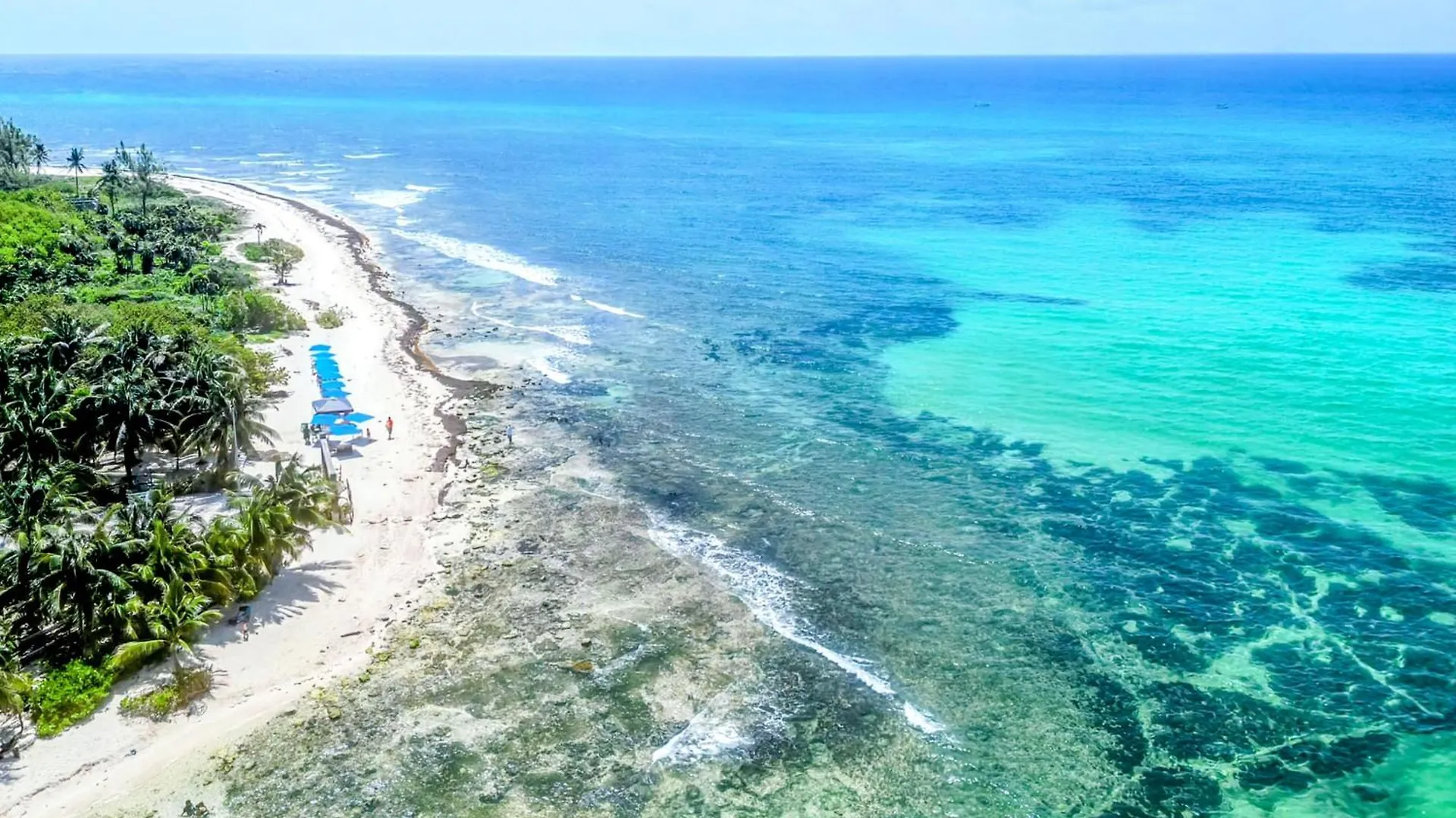 A8 Beachside Bliss Family Hawaiian Themed Quad Kitchen Studio Ac Playa del Carmen