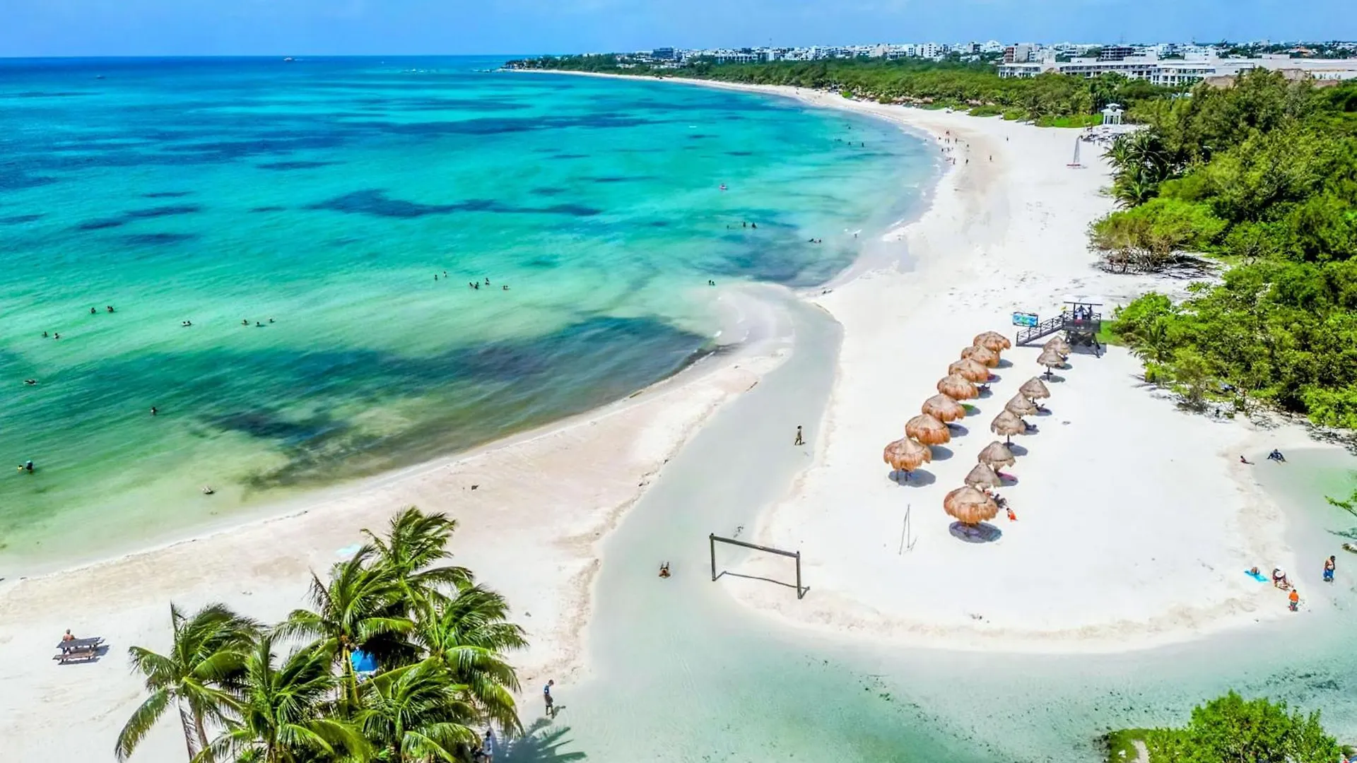 A8 Beachside Bliss Family Hawaiian Themed Quad Kitchen Studio Ac Playa del Carmen Apartment