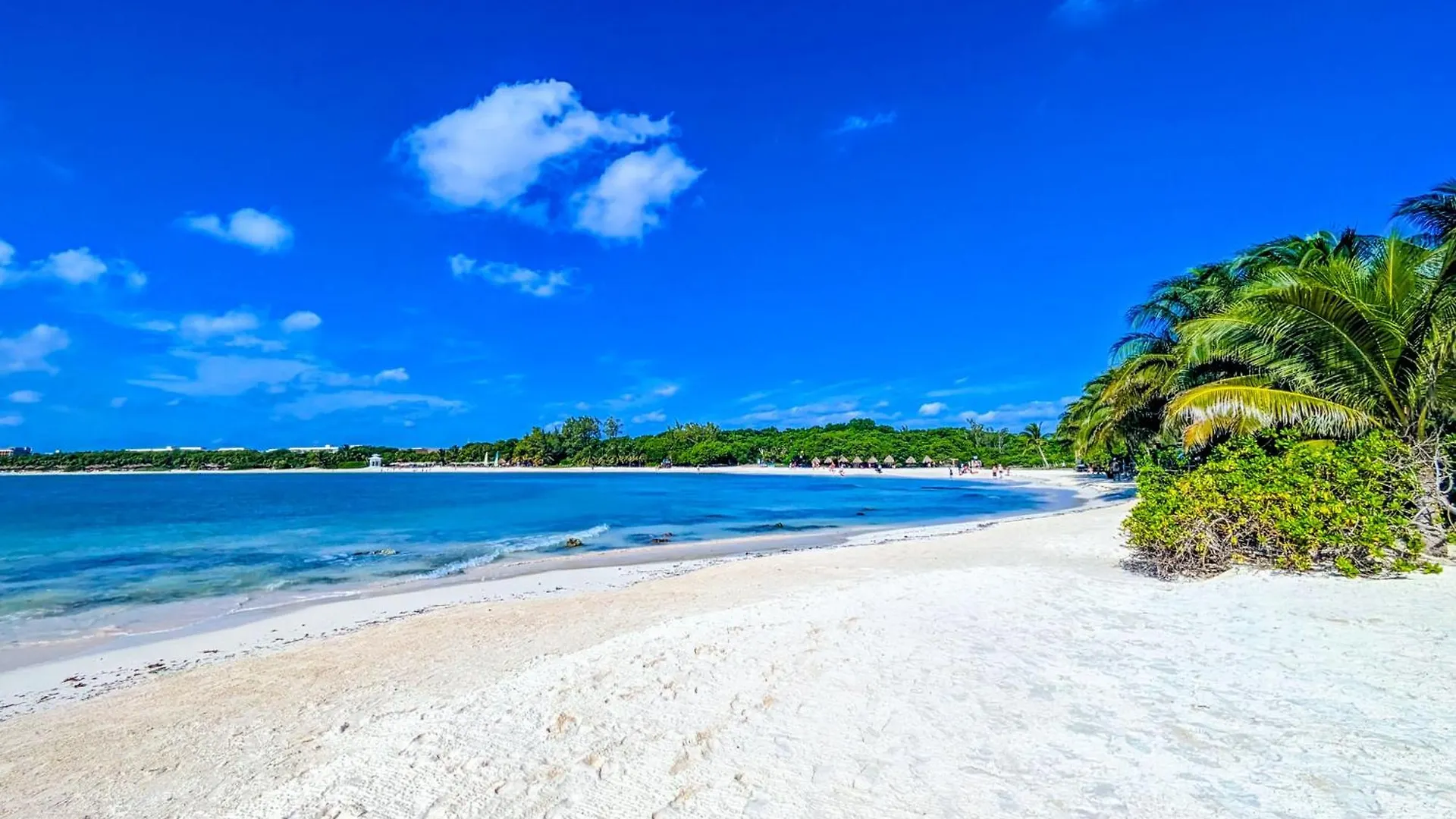 A8 Beachside Bliss Family Hawaiian Themed Quad Kitchen Studio Ac Playa del Carmen